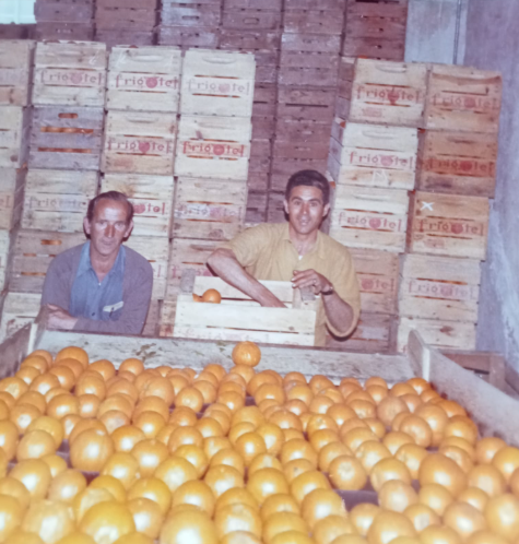 Trabajo familiar en el almacén de naranjas de Oliva, con dos hombres, cajas de madera y fruta seleccionada.
