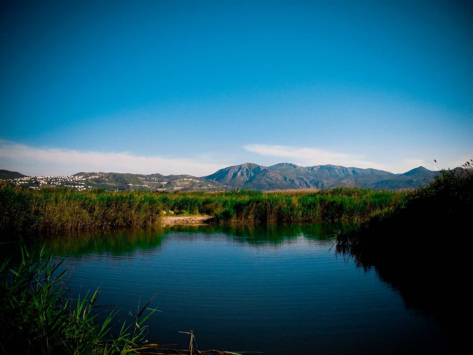 Agua, carrizos, vegetación y montañas en el Parque Natural de la Marjal de Pego-Oliva.