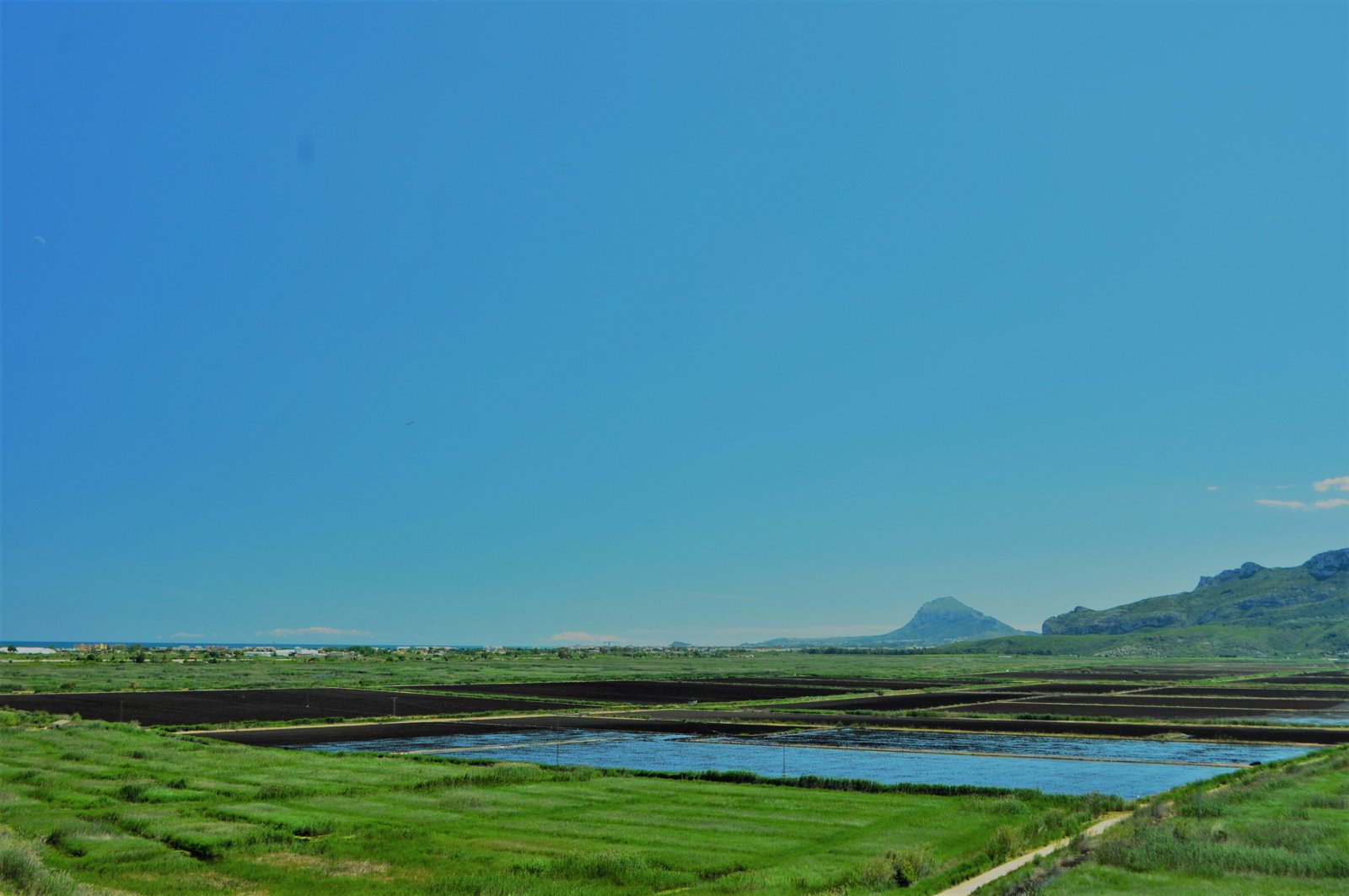 Vista real del Parque Natural de la Marjal de Pego-Oliva desde la Muntanyeta Verda.