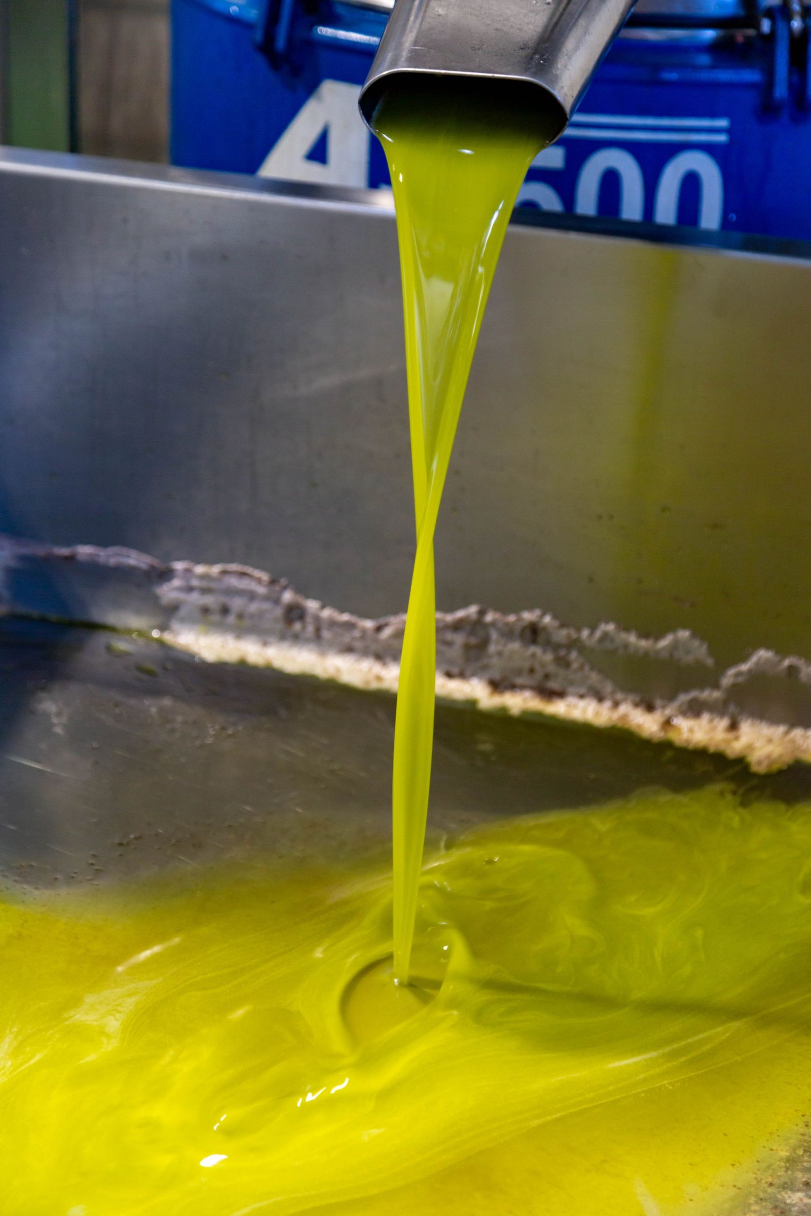 Aceite de oliva saliendo durante el proceso en almazara
