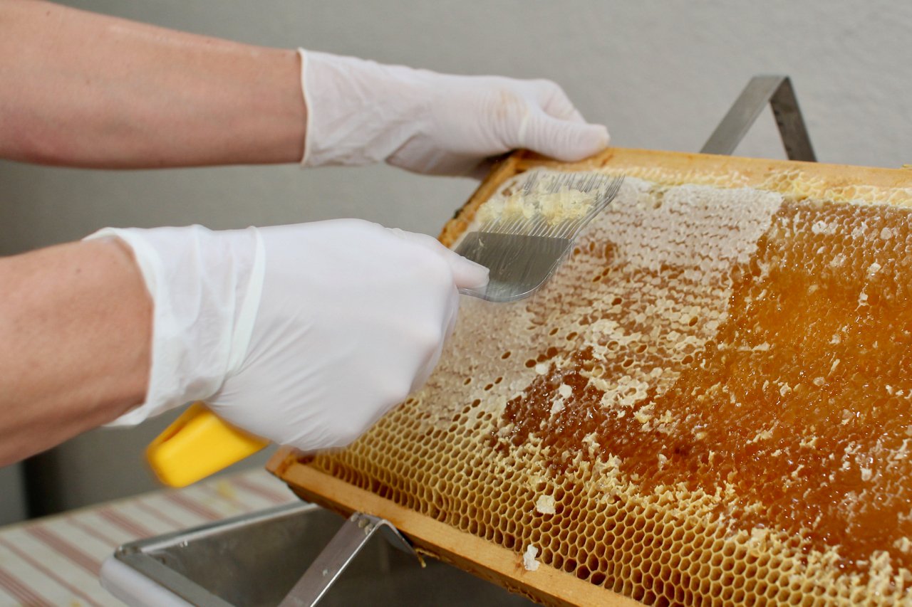 Extracción real de miel desde un panal